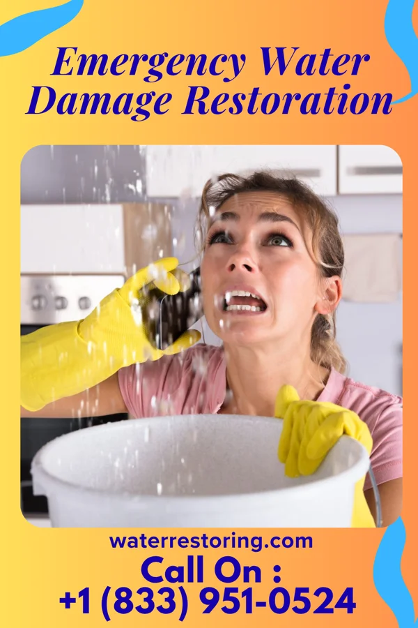Emergency Water Damage Restoration in Haven, KS