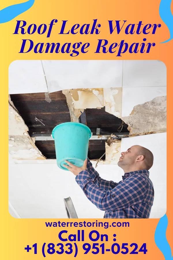 Roof Leak Water Damage Repair in Haven, KS